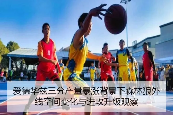 爱德华兹三分产量暴涨背景下森林狼外线空间变化与进攻升级观察